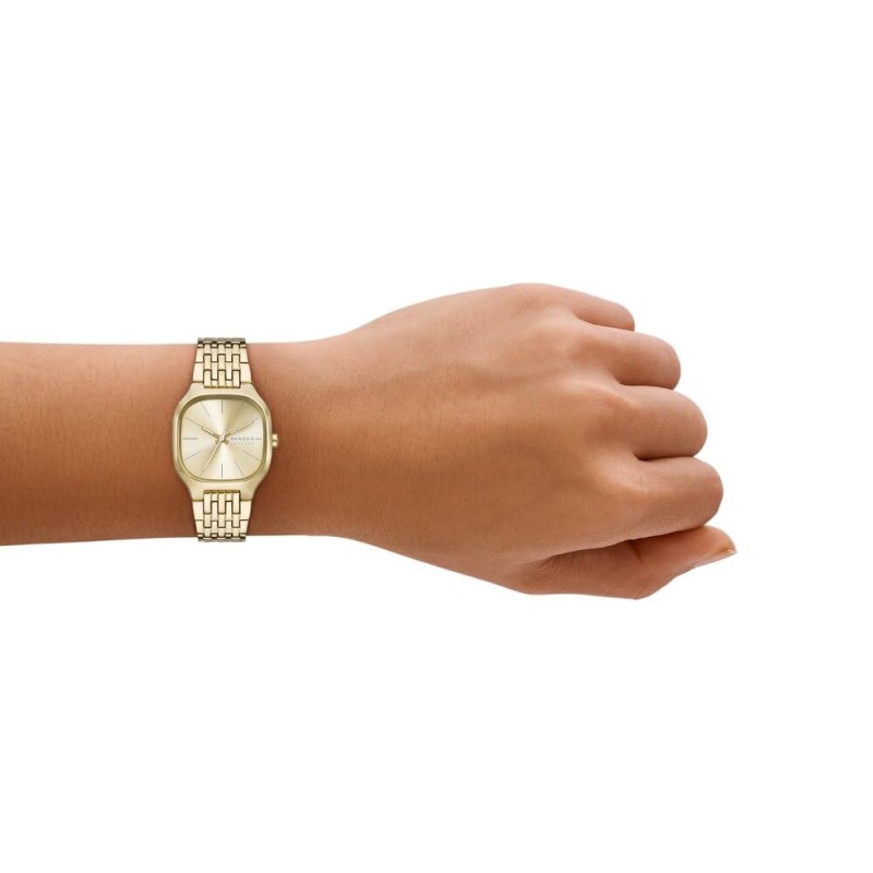 Skagen Damen Analog Quarz Uhr mit Edelstahl Armband SKW3162